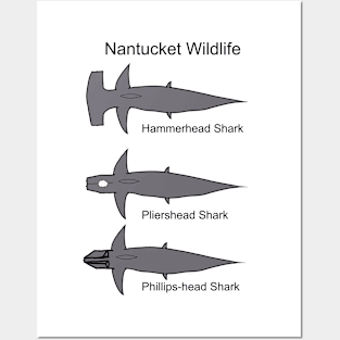 Nantucket Wildlife Posters and Art